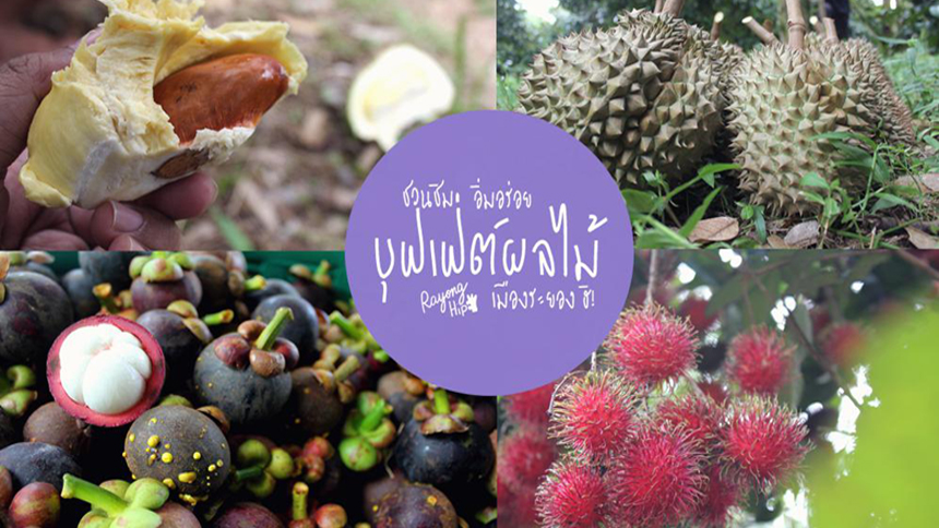 风靡万千游客的泰国水果节！哪些果园自助餐的水果好吃又便宜？！来了解一下吧！