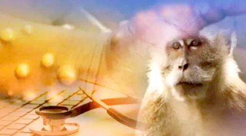 虚惊！泰国发现猴痘疑似病例