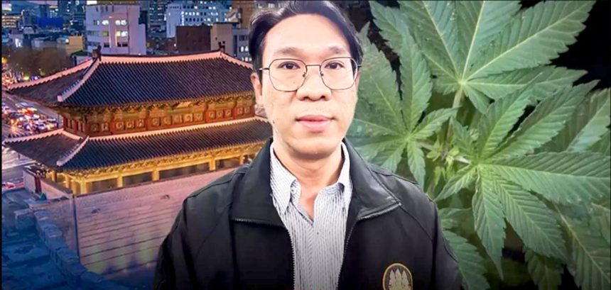 泰驻韩使馆警告：禁止携带大麻及制品入境