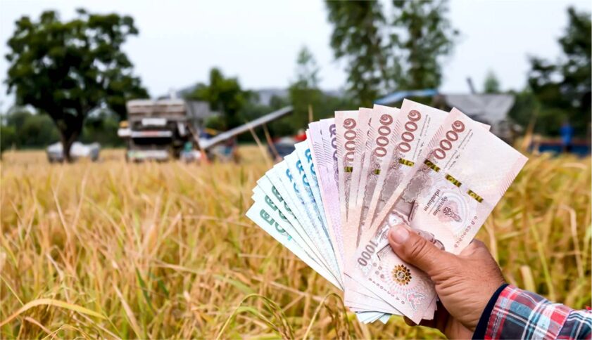 内阁将批准550亿铢向稻农提供“收割补贴”