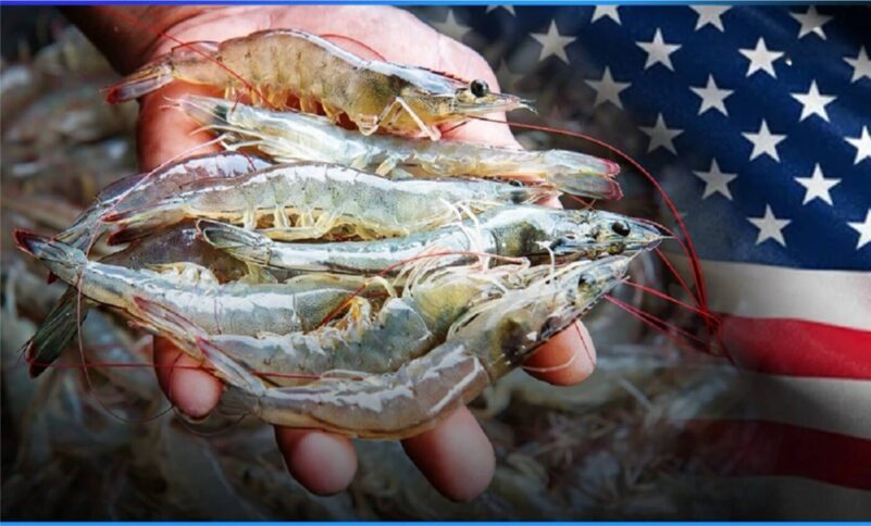 美国准备将泰国虾从监控类产品中删除